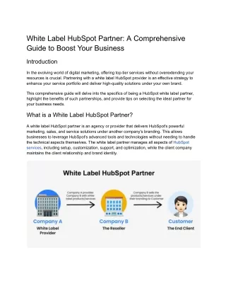 White Label HubSpot Partner_ A Comprehensive Guide to Boost Your Business