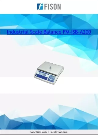 Industrial Scale Balance 31 Kg