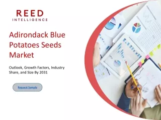 Organic Farming and the Adirondack Blue Potato Seed Market: A Perfect Match