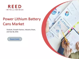 Power Lithium Battery Cans Market