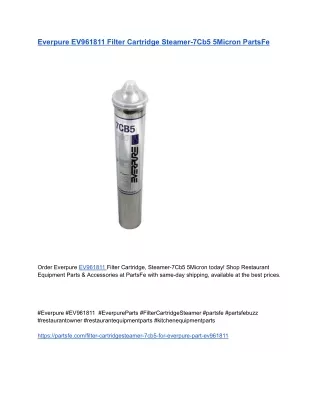 Everpure EV961811 Filter Cartridge Steamer-7Cb5 5Micron PartsFe