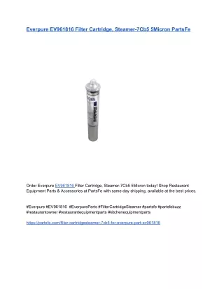 Everpure EV961816 Filter Cartridge, Steamer-7Cb5 5Micron PartsFe