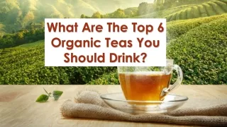 What Are The Top 6 Organic Teas You Should Drink?