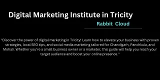 Digital Marketing Institute in Tricity