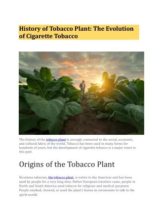 History of Tobacco Plant The Evolution of Cigarette Tobacco