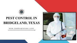 Expert Pest Control Services in Bridgeland TX | Bed Bug Texas