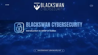 Top MSSP in Dallas Expert Cybersecurity Services by BlackSwan