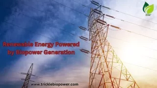 Clean Energy Starts with Biopower Generation