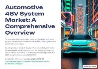 Automotive 48V System Market Segmentations