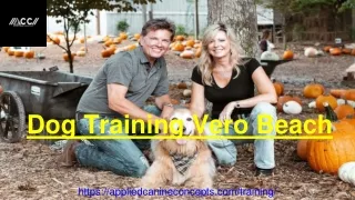 Dog Training Vero Beach