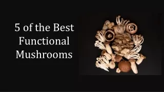 5 of the Best Functional Mushrooms