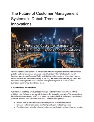 _Customer Management System Dubai