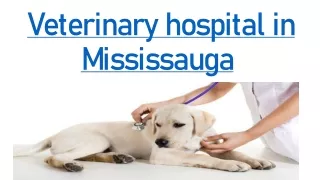 Veterinary hospital in Mississauga, ON