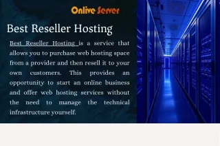 Maximize Your Profits with Onlive Server Best Reseller Hosting