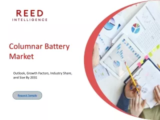 Columnar Battery Market