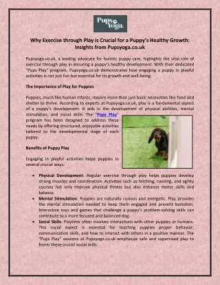 Why Exercise through Play is Crucial for a Puppy’s Healthy Growth Insights from Pupsyoga.co.uk