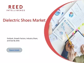 Dielectric Shoes Market
