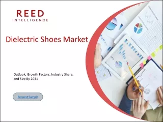 Dielectric Shoes Market