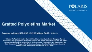Grafted Polyolefins Market Size And Growth