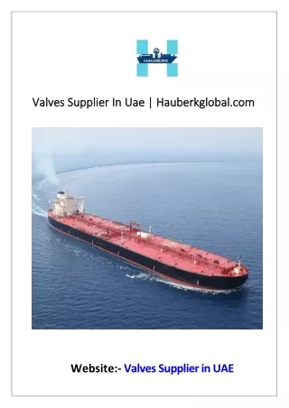 Valves Supplier In Uae  Hauberkglobal.com.
