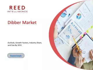 Dibber Market