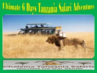 Ultimate 6 Days Tanzania Safari Adventure