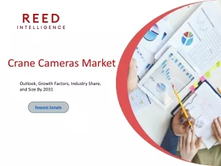 Crane Cameras Market