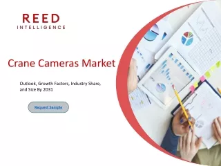 Crane Cameras Market