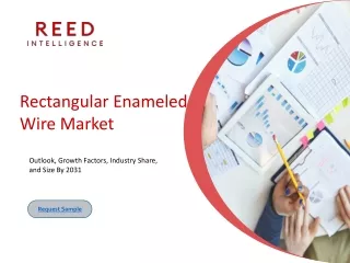 Rectangular Enameled Wire Market