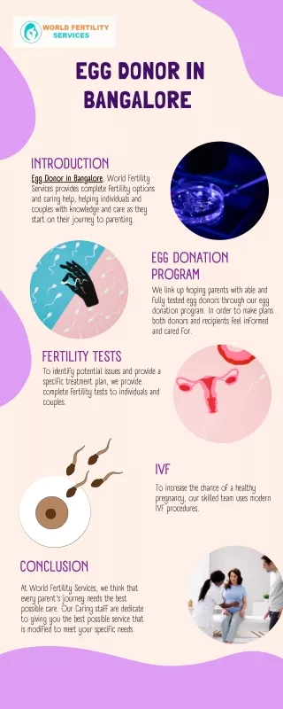 Egg Donor in Bangalore | World Fertility Services