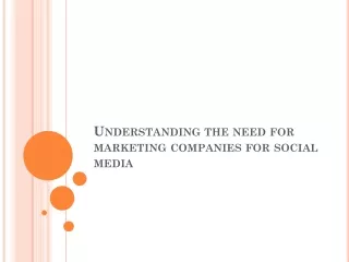 Understanding the need for marketing companies for social media