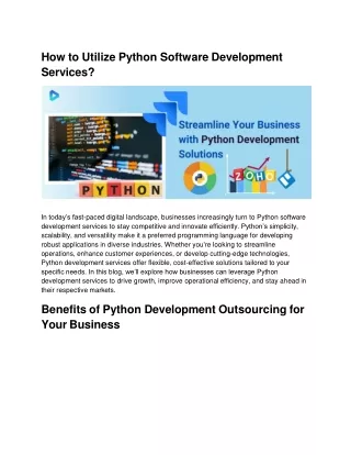 How to Utilize Python Software Development Services?