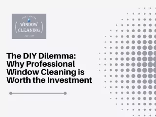 The DIY Dilemma Why Professional Window Cleaning is Worth the Investment