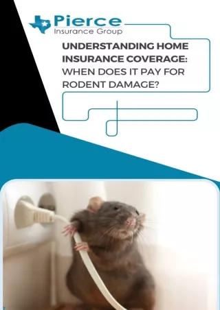 Understanding Home Insurance Coverage When Does It Pay for Rodent Damage