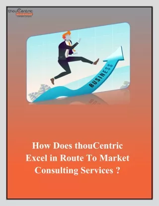 How Does thouCentric Excel in RouteToMarket Consulting Services