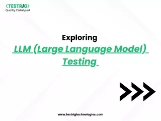 Large Language Models (LLMs)