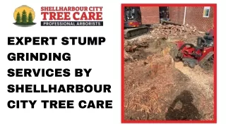 Expert Stump Grinding Services by Shellharbour City Tree Care