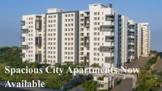 Spacious City Apartments Now Available