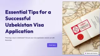 Essential Tips for a Successful Uzbekistan Visa Application