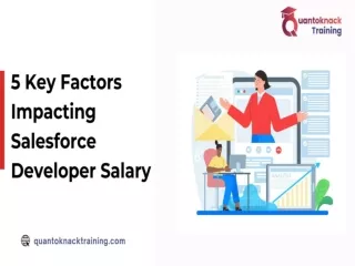 5 Key Factors Impacting Salesforce Developer Salary