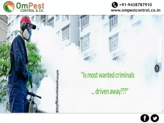 Get the Best Pest Control Services in Odisha