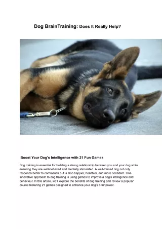 Dog Brain Training. Does it Really Help?