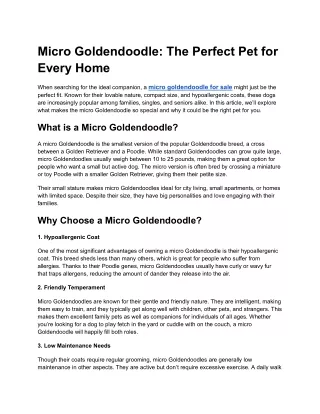 Micro Goldendoodle_ The Perfect Pet for Every Home