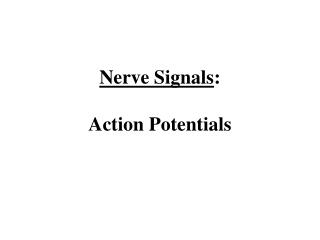 Nerve Signals : Action Potentials