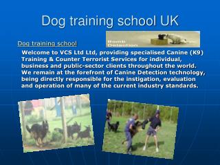 Dog training school