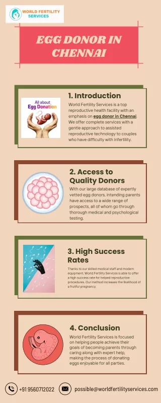 Egg Donor in Chennai | World Fertility Services