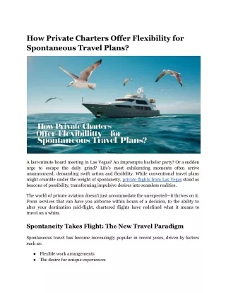 How Private Charters Offer Flexibility for Spontaneous Travel Plans_