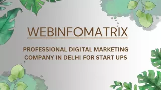 Web Infomatrix Ppt3