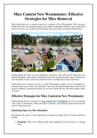 Mice Control New Westminster - Effective Strategies for Mice Removal