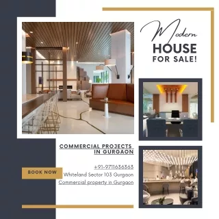 Commercial projects in Gurgaon